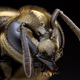 Illustration for article titled 10 Tiny Creatures You Didnt Realize Were Controlling Your World